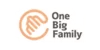 logo-bigfamily