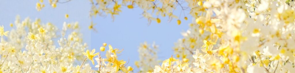 高額療養費「多数回該当」を理解し、利用者の負担軽減と健全な経営へ