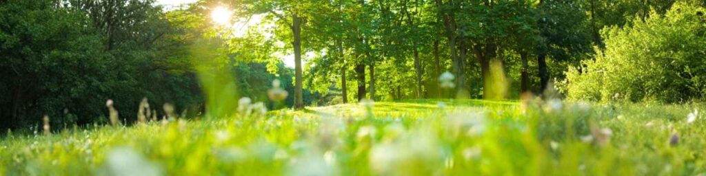 質の高い精神科ケアへの転換点